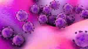 China coronavirus toll inches closer to 500