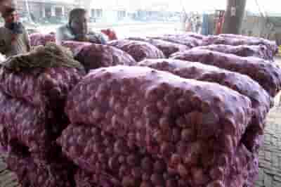 Govt imposes 40% duty on onion export