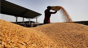 centre-issues-order-on-wheat-stock-declaration-by-traders-to-keep-prices-in-check
