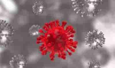 Boosters raise vax effectiveness against Omicron by 88%: UK studies