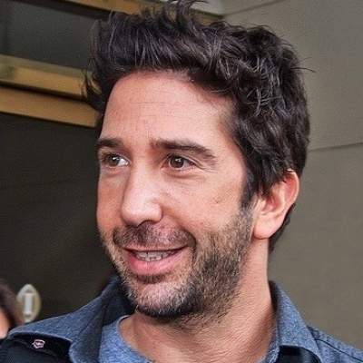 David Schwimmer: Not easy to deal with fame in initial days