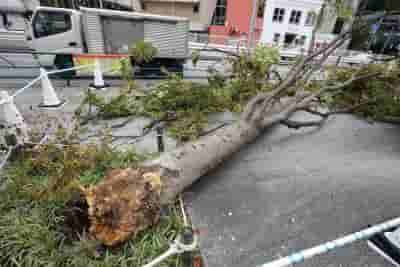 Powerful typhoon lashes Japan's Okinawa islands through weekend, evacuation ordered