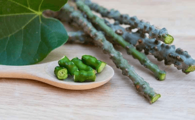 Global research on giloy surges over 375 pc in last 10 years: Ayush Ministry