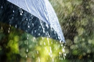 Rain and thunderstorms expected from April 16