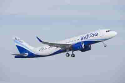 Drunk elderly Swede molests IndiGo hostess on Bangkok-Mumbai flight, nabbed