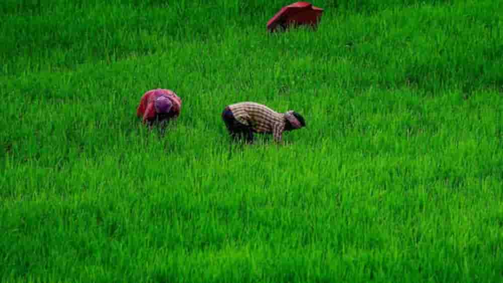 “Farmer Grievance Redressal System” coining new definition of timeliness, transparency & good governance