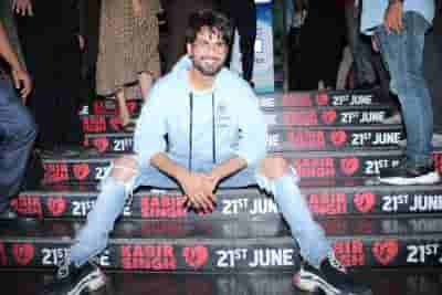 'Kabir Singh' crosses 250 crore-mark in India