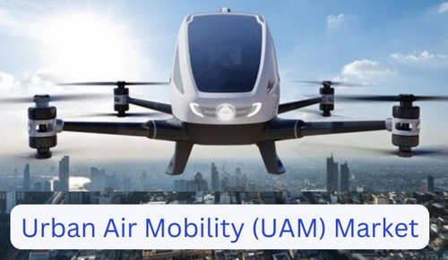 India's Urban Air Mobility infrastructure market to reach $6.2 mn by 2033: Report